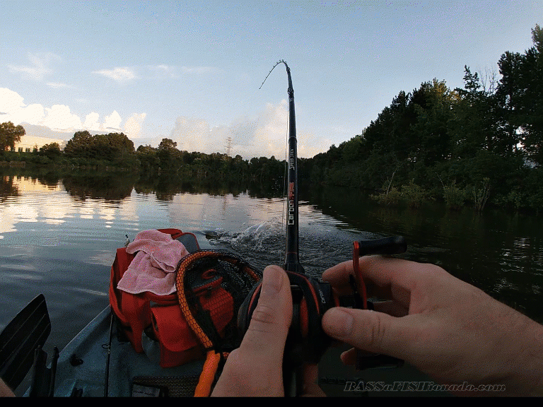 Five Pounder