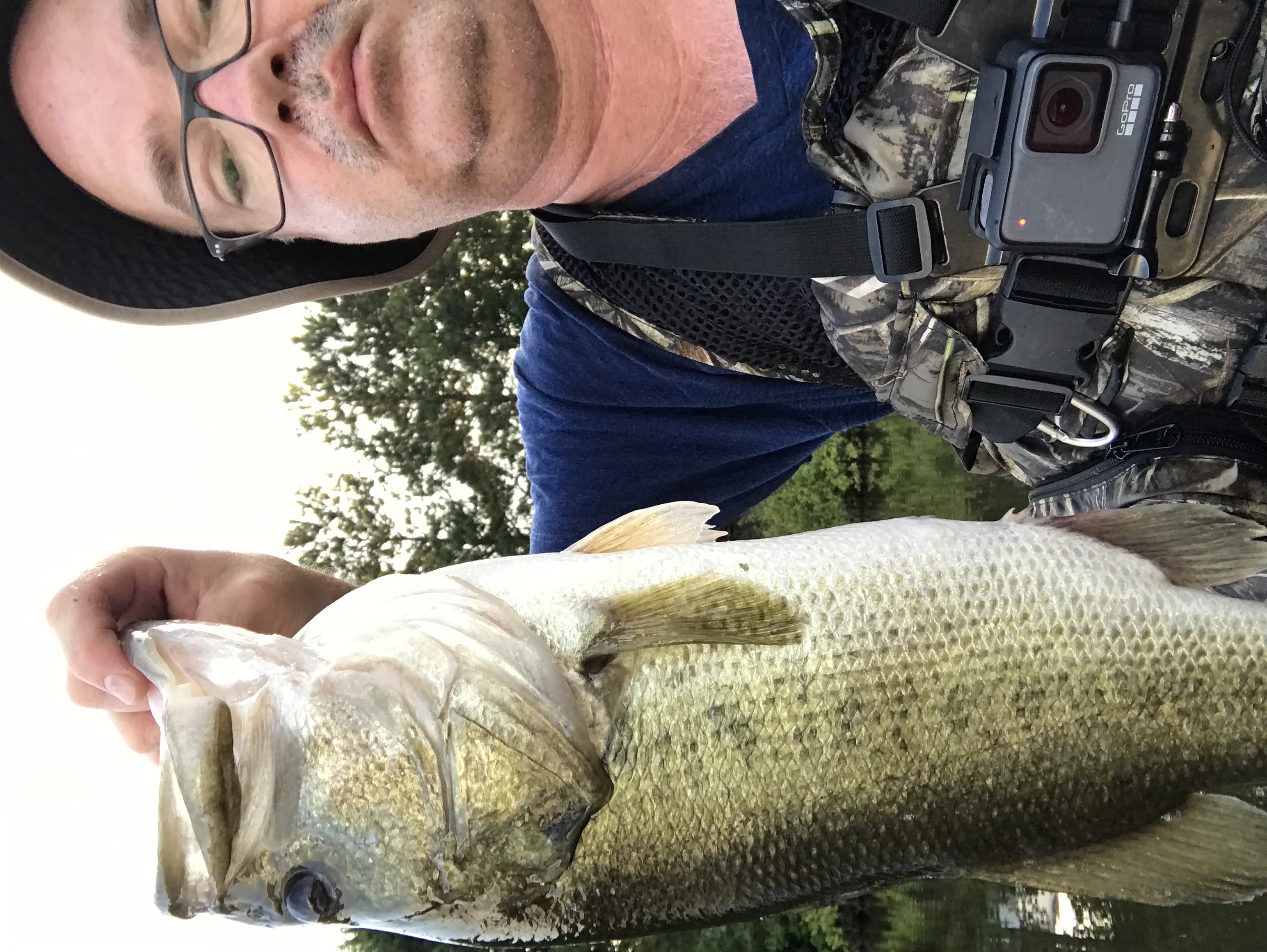 5 lbs. 3 oz.