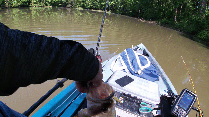 three pounder